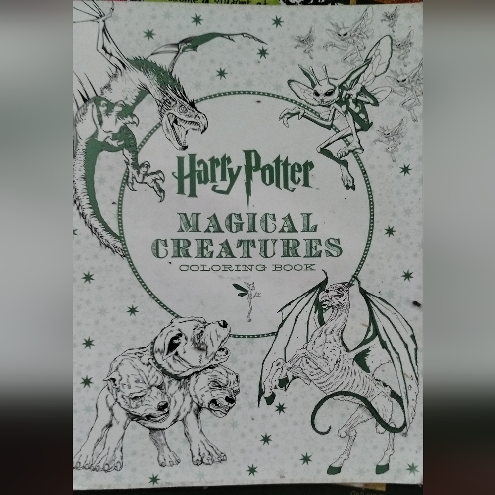 Harry Potter libro de colorear